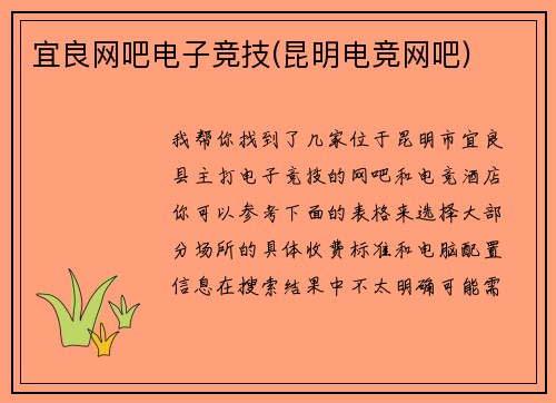 宜良网吧电子竞技(昆明电竞网吧)